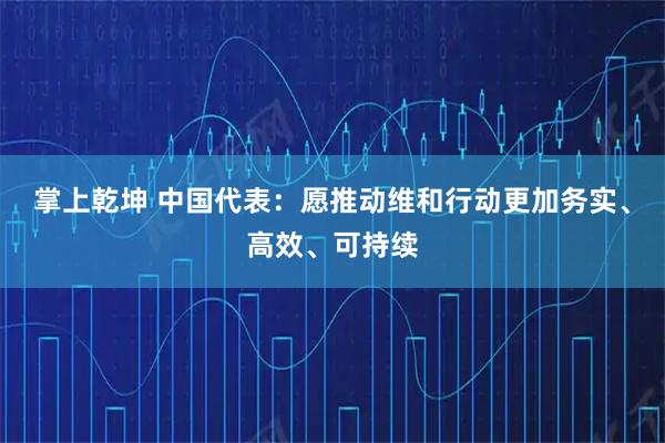 掌上乾坤 中国代表：愿推动维和行动更加务实、高效、可持续