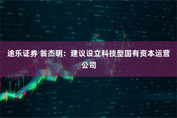 途乐证券 翁杰明：建议设立科技型国有资本运营公司