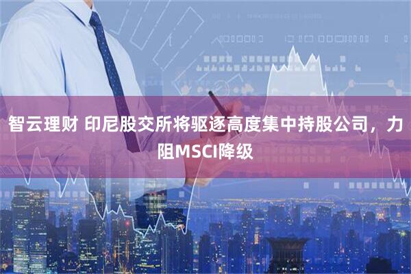 智云理财 印尼股交所将驱逐高度集中持股公司，力阻MSCI降级