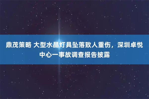 鼎茂策略 大型水晶灯具坠落致人重伤，深圳卓悦中心一事故调查报告披露